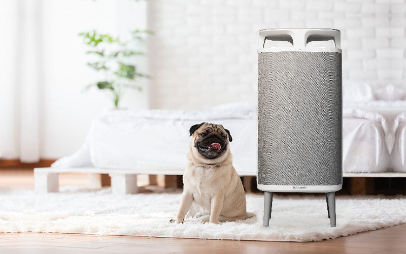 Anjing bersama air purifier yang dapat menarik udara dan bulu hewan di udara agar tidak bertebaran