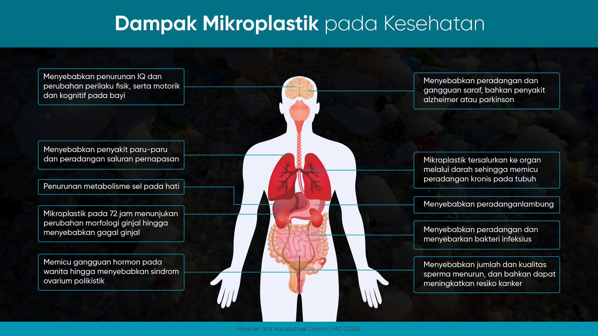 dampak pemaparan mikroplastik terhadap jaringan di tubuh manusia