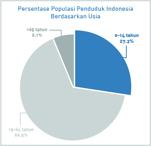 diagram persentase populasi penduduk indonesia berdasarkan usia